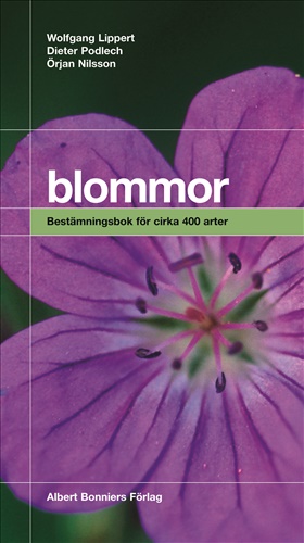 Blommor