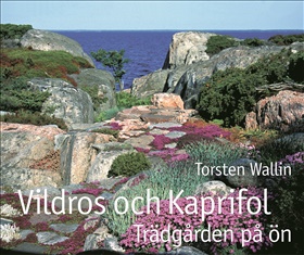Vildros och kaprifol