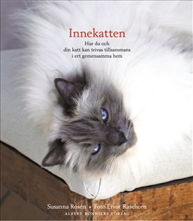 Innekatten
