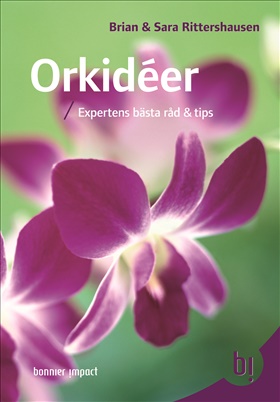 Orkidéer
