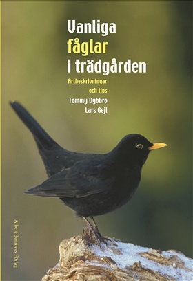 Vanliga fåglar i trädgården