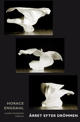 Ärret efter drömmen