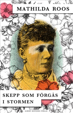 Skepp som förgås i stormen