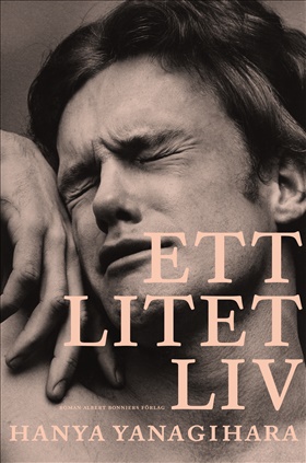Ett litet liv 