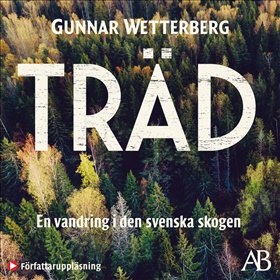 Träd