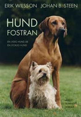 Hundfostran