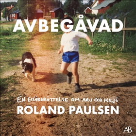 Avbegåvad