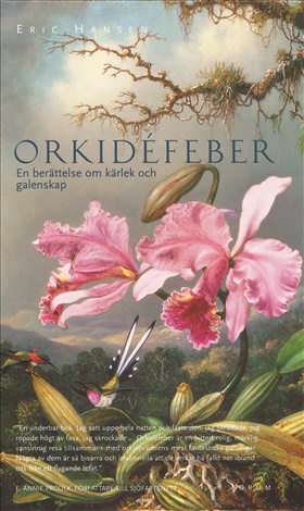 Orkidéfeber