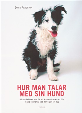 Hur man talar med sin hund