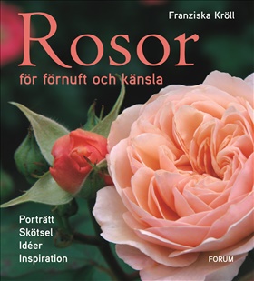 Rosor för förnuft och känsla