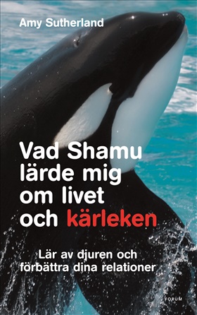 Vad Shamu lärde mig om livet och kärleken
