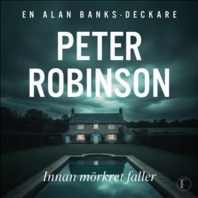 Innan mörkret faller