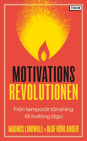 Motivationsrevolutionen