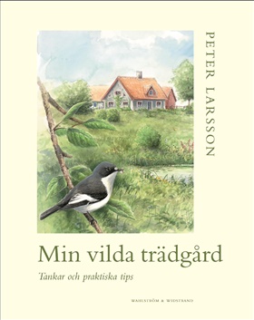 Min vilda trädgård