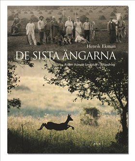 De sista ängarna