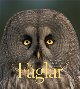 Fåglar