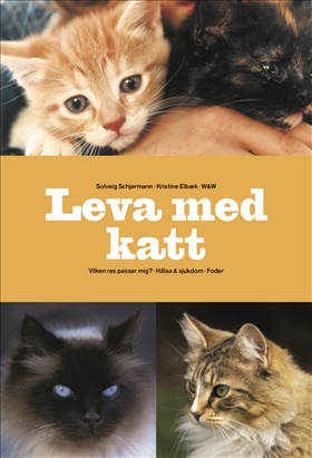 Leva med katt