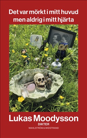 Det var mörkt i mitt huvud men aldrig i mitt hjärta