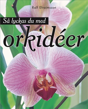Så lyckas du med orkidéer