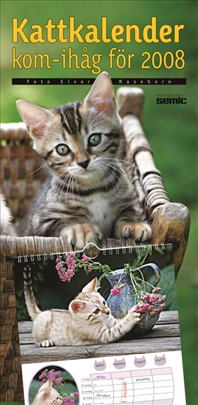 Kattkalender kom-ihåg för 2008
