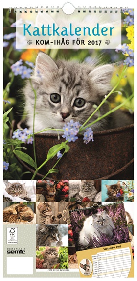 Kattkalender 2017