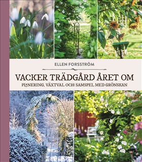 Vacker trädgård året om
