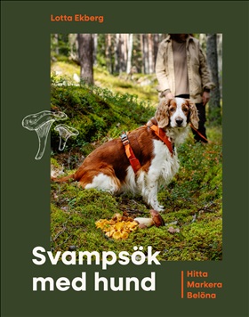 Svampsök med hund  