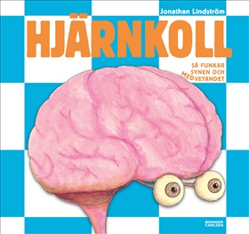 Hjärnkoll - så funkar synen och medvetandet