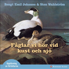 Fåglar vi hör vid kust och sjö