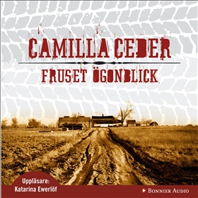 Fruset ögonblick 