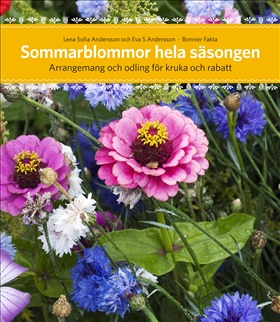 Sommarblommor hela säsongen
