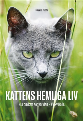 Kattens hemliga liv