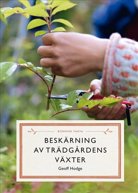 Beskärning av trädgårdens växter