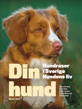 Din hund