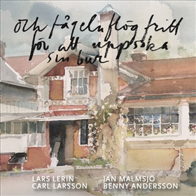Och fågeln flög fritt för att uppsöka sin bur