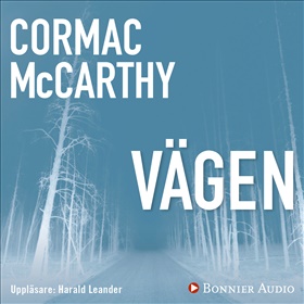 Vägen