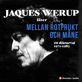 Mellan rotfrukt och måne