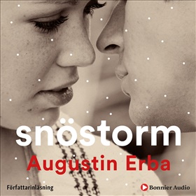 Snöstorm