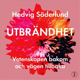 Den utbrända hjärnforskaren