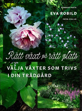 Rätt växt på rätt plats