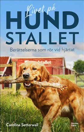 Livet på Hundstallet