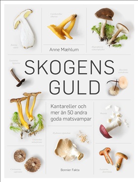 Skogens guld
