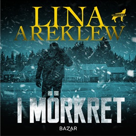 I mörkret