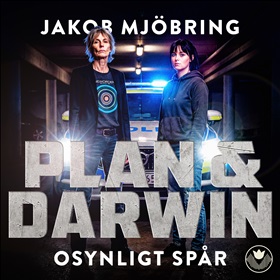 Osynligt spår