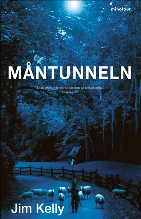 Måntunneln