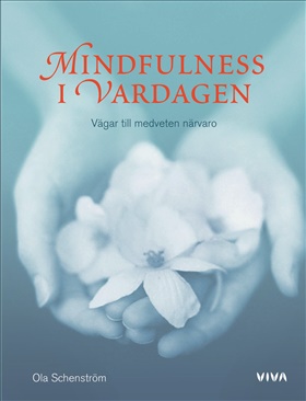 Mindfulness i vardagen