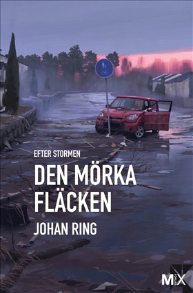 Den mörka fläcken