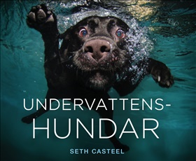 Undervattenshundar