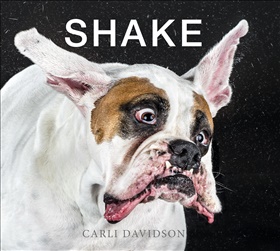 Shake