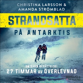 Strandsatta på Antarktis